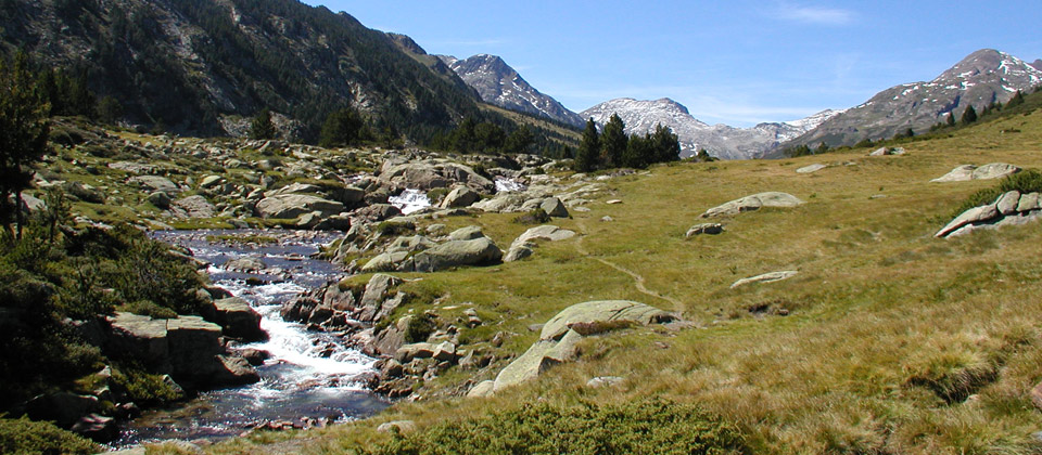 Cheminement le long du ruisseau